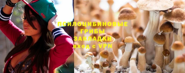 круглые Корсаков