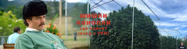 mdpv Костерёво