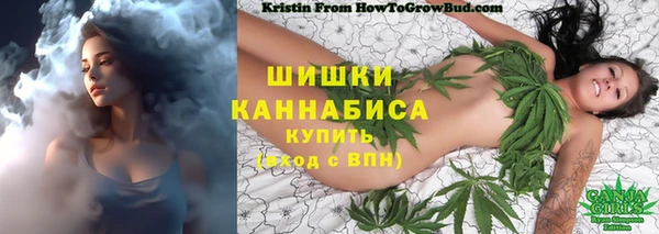 круглые Корсаков