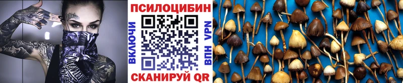 наркотики  Нягань  Псилоцибиновые грибы ЛСД 