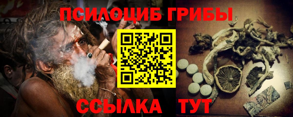 Псилоцибиновые грибы мицелий Нягань